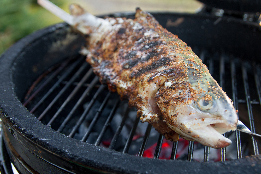 Grilēta forele ar apbrūninājumu