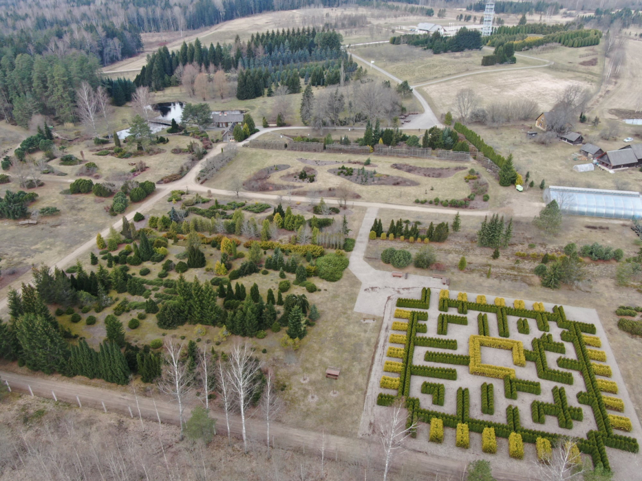 Kalsnavas arborētums pastaigu maršuts