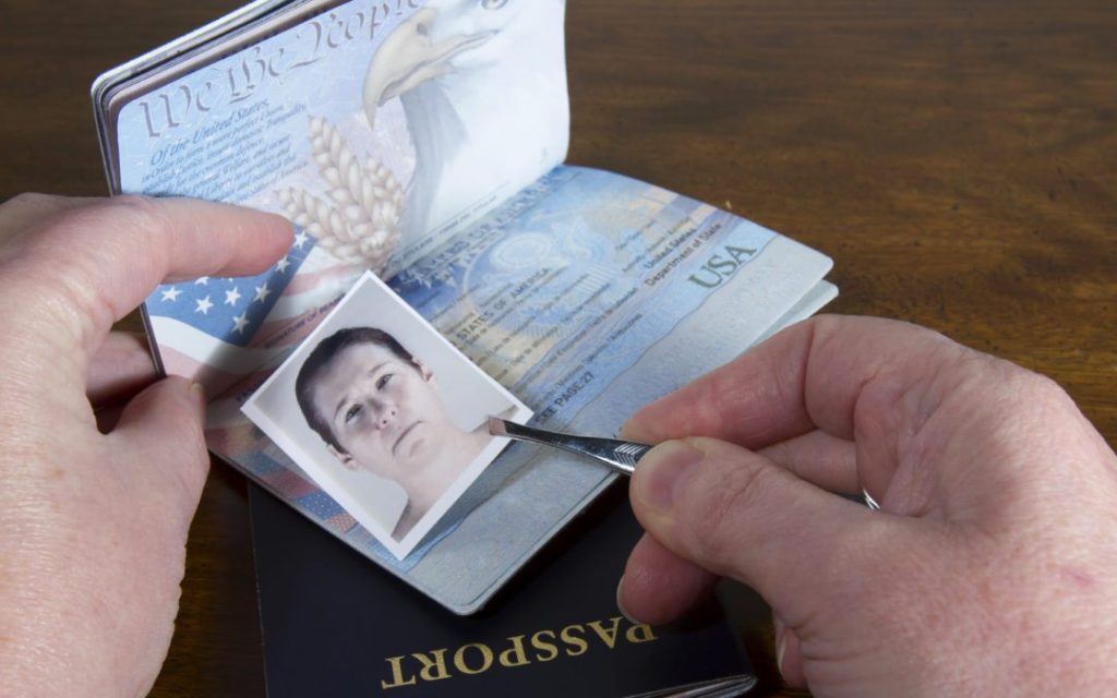 Viltotas pases izveide