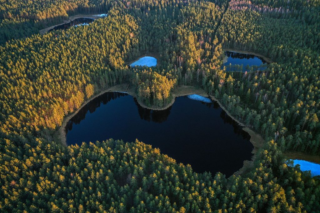 Saliņa ezers izkatās pēc latvijas kontūras Smiltenes novadā meža vidū