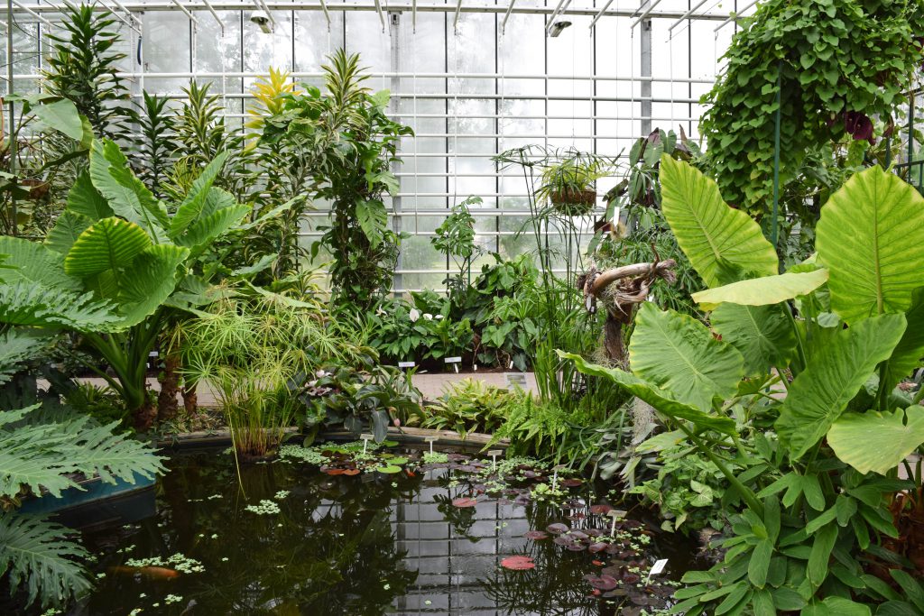 Nacionālais Botāniskais dārzs Salaspilī