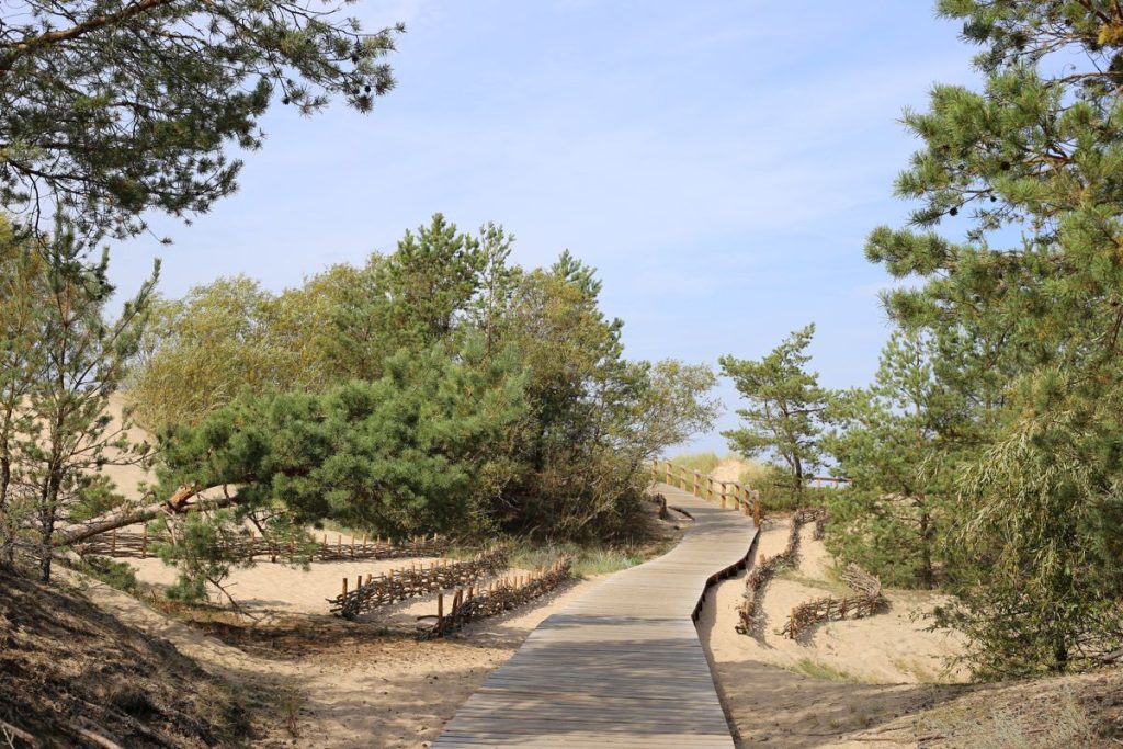 Koka taciņa smiltīs, Carnikavas promenāde
