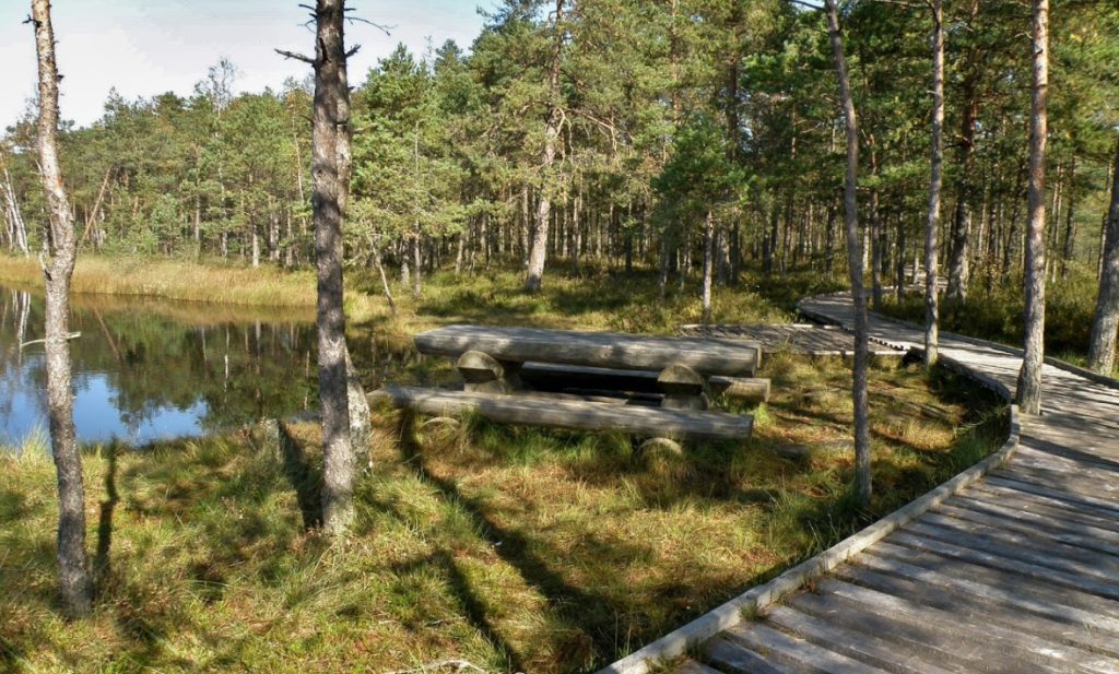 Kalnansu purva taka ar celiņu pa laipu.