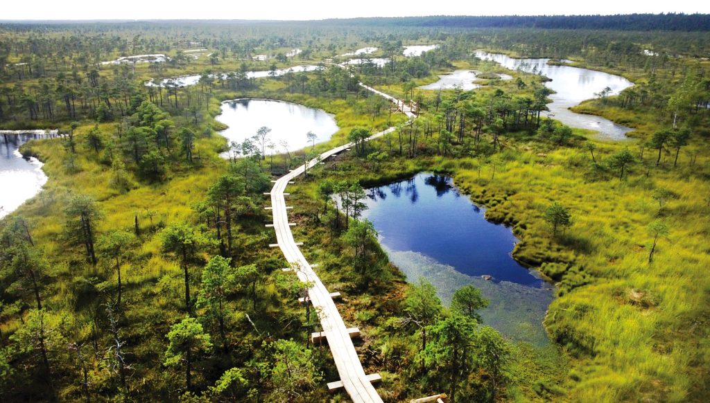 Ķemeru tīreļa purva taka ar lapu.