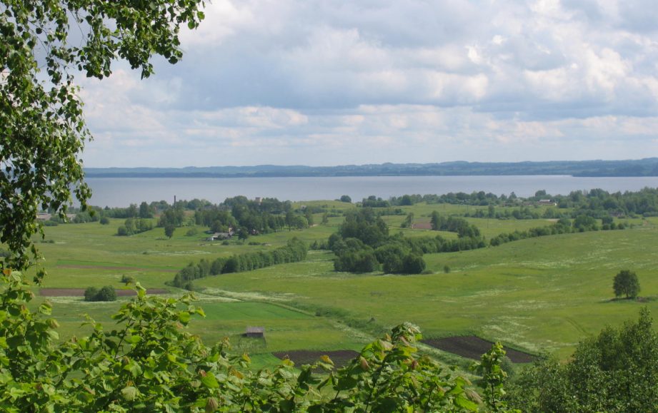 Skats uz pļavu no Mākoņkalna vasarā