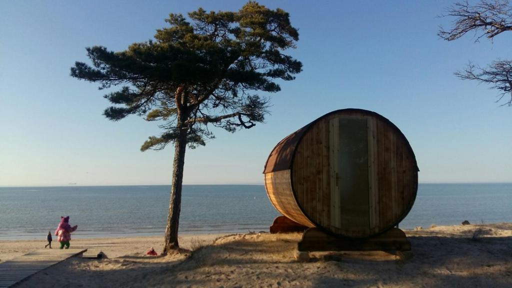 ''Saules mājas'' Mucu mājas Kolkasragā pie jūras