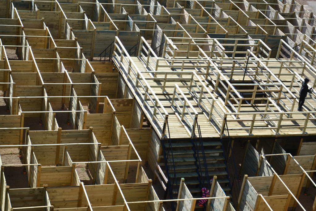 Labirints "MINOTAURS" ar koka sienām.