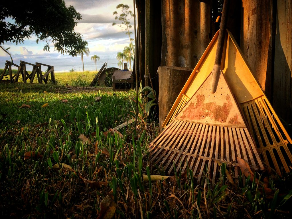 Divi grābekļi atstutēti ārā pret šķūņa sienu