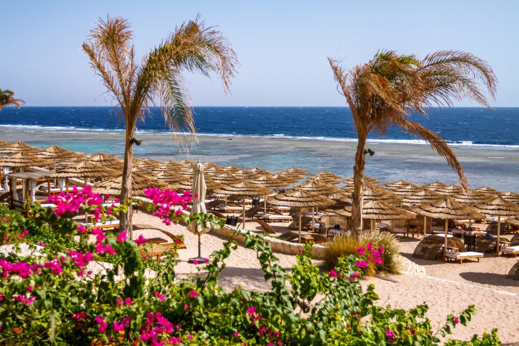 eksotiska pludmale ar palmām