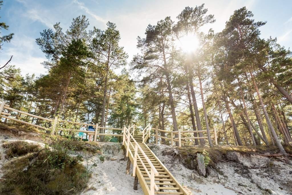 Lāčupītes dendrārijs ziemā pie Lāčupītes takas