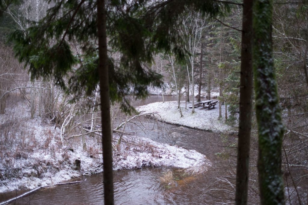 Viesatas upesloku taka ziemā
