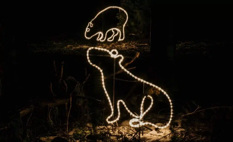 Ziemas naktis Rīgas Nacionālajā zooloģiskajā dārzā