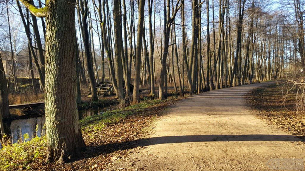 Bieriņu dabas parka celiņš garām Mārupītei