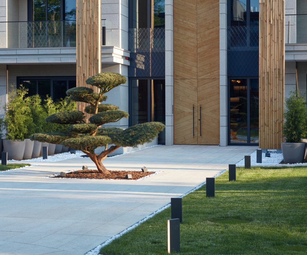 Villa Milia ieeja, bonsai koka priede