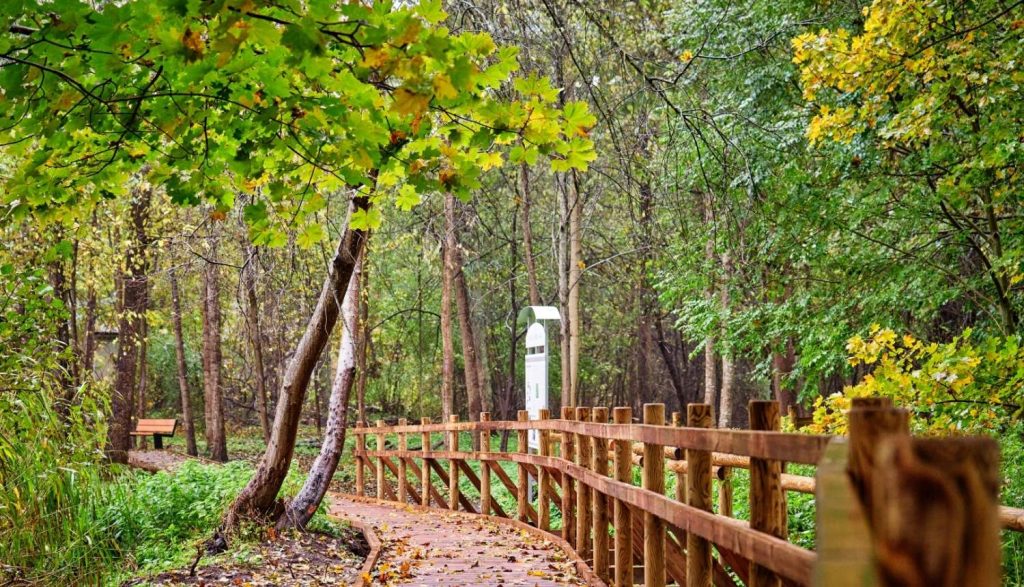 Bukultu pastaigu taka pie Juglas-Baltezera kanāla